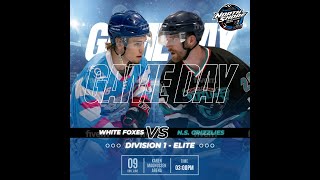 Div 1 Elite  Grizzlies vs White Foxes [upl. by Yllib]