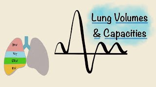 Lung pressure  Intraplural pressure [upl. by Bronk]