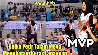 Menghantam Tajam Ke Lantai Spike Mega Buat Tim Hipas Kocar Kacir dan Akhirnya Mega MVP  Red Sparks [upl. by Nhepets]