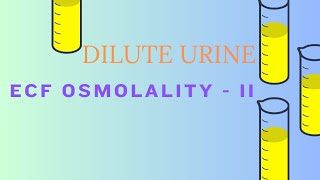 ECF OSMOLALITY II Dilute Urine [upl. by Mufi]