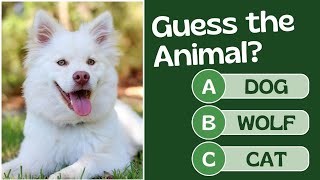 Whats Name of this AnimalAnimals Vioce quizUSA Animal name QuizUSA Pet name QuizUSA Doggy [upl. by Magas654]