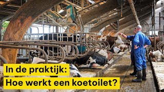 Mineralen uit drijfmest gerichter inzetten met koetoilet [upl. by Jacinta98]