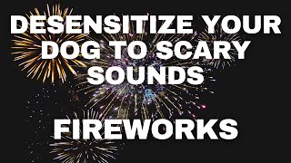 Dog Desensitization Sounds for Dogs amp Puppies Fireworks [upl. by Unity374]