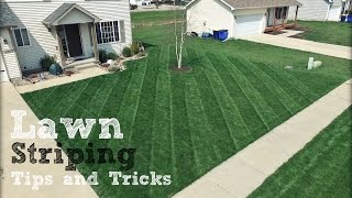 Lawn Striping  How To Achieve The Best Stripes In Your Lawn [upl. by Eedya279]