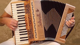 Italian Music TARANTELLA NAPOLETANA accordion Fisarmonica Akkordeonmusik Acordeon The Godfather [upl. by Domel]