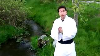 Taoist Monk  7 chakras explained part 1 [upl. by Yrad]