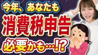 【超重要】あなたも消費税の申告必要じゃない？知らなかったでは済まされない！ [upl. by Loy]