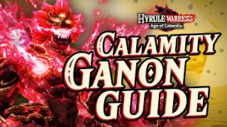 Calamity Ganon Character Guide FULL GUIDE – Hyrule Warriors Age of Calamity Tips amp Tricks [upl. by Mihe]