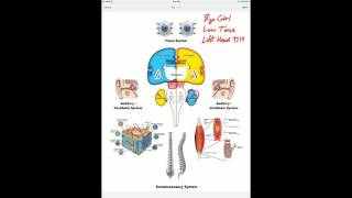 Focus Minute S6 Right brain with Motion Guidance Laser [upl. by Ahcilef]