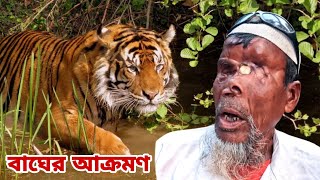 বাঘের সাথে ভয়ঙ্কর লড়াই করে বেঁচে ফেরার লোমহর্ষক ঘটনা । Sundarban Tiger Attacks । বাঘে মানুষে লড়াই [upl. by Pacificia361]