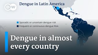 Latin America experiences worst dengue fever outbreak on record  DW News [upl. by Asselim]