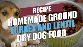 Homemade Ground Turkey and Lentil Dry Dog Food Recipe [upl. by Divadleahcim]