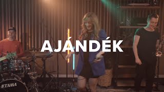 Paulina Ajándék • Petőfi LIVE [upl. by Annaiv]