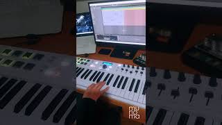 Another Night  Real McCoy Cover cover ableton arturiakeylab producer synthmusic shorts [upl. by Torbart296]