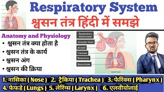 Respiratory System श्वसन तंत्र  Respiratory Tract  Lungs  Bronchi  Trachea  Alveoli  Larynx [upl. by Lleder105]