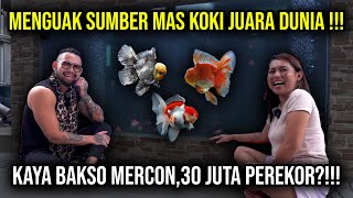 MENGUAK SUMBER MAS KOKI JUARA DUNIA  KAYA BAKSO MERCON 30 JUTA PEREKOR  indoexotic [upl. by Davide]