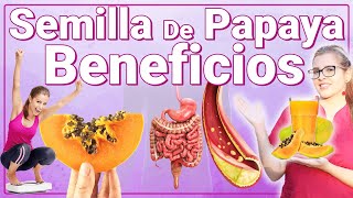 No Botes Las Semillas De Papaya  Para Qué Sirve  Beneficios Para Tu Salud Y Belleza [upl. by Tatum]