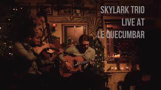 I Found A New Baby  Skylark Trio Gypsy JazzManouche [upl. by Oecile273]