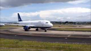 TJSJ Spotting Iguana on Taxiway [upl. by Alidis]