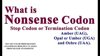 What is nonsense codon  Stop codon Termination Codon [upl. by Ococ]