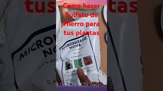 Como hacer Sulfato de Hierro para tus plantas [upl. by Oivaf]