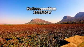 Scuba diving Hartbeespoort hyacinths [upl. by Carri]