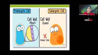 MicroBiologyCELLULAR STRUCTURE OF BACTERIA [upl. by Libbey]