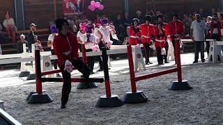 Premier championnat du monde de quotcheval à deux pattesquot [upl. by Nosreme125]