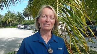 Jean Guthrie Dolphin Retreat Testimonial [upl. by Ellehcin]