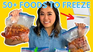 Did you know you could FREEZE this 50 Foods to FREEZE [upl. by Nameerf768]