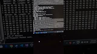 TPLink VN020 DHCP Memory Corruption  DOS Attack PoC [upl. by Cesya]