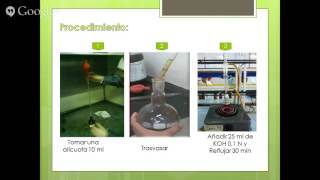 COMO HACER EL PROCESO DE EXTRACCION DE ALCALOIDE DE LA FLOR DE CAMPANATROMPETA DEL DIABLO [upl. by Odrautse554]