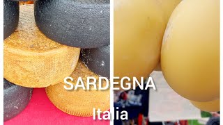 Italia Sardegna I FORMAGGI TIPICI SARDI Delizioso formaggio travel italy cheese 2024 [upl. by Hgielrebma275]