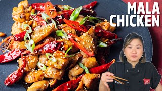 Spicy Smoky Sichuan Chicken [upl. by Suiradel]