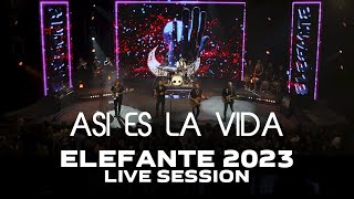 Asi es la Vida ELEFANTE 2023 Live Session [upl. by Moberg]