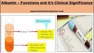 Biochemical Functions of Albumin  Clinical Significance of Albumin  Plasma Proteins [upl. by Sorac169]