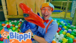 Blippi Meets Baby Dinosaurs in a BALLPIT  Blippi Educational Videos [upl. by Nuy]