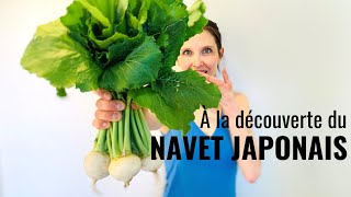 NAVET JAPONAIS  Préparation amp recette antigaspillage [upl. by Burack]