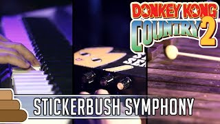 David Wise  Stickerbrush Symphony Donkey Kong Country 2 [upl. by Aryek]