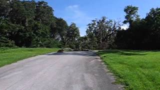 BELLEVIEWFLORIDA STORM DAMAGE PART 1 [upl. by Ivett625]