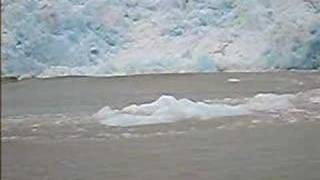 Grey Glacier  Ice breaking off [upl. by Walczak]