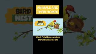 Animal and their homes  Animal Habitats animalshome animalshelter animalshorts animalsvideo [upl. by Jed]