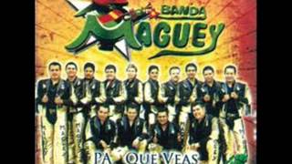 banda maguey dos gotas de agua [upl. by Ahseyd]