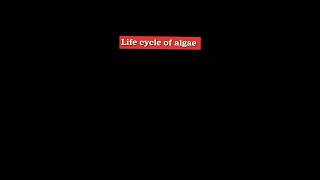 Life cycle of algae  Types of life cycle of algae l algae [upl. by Blim]