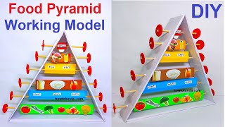 food pyramid working model 3d for class 9 and class 10th  TLM  howtofunda craftpiller [upl. by Demah]