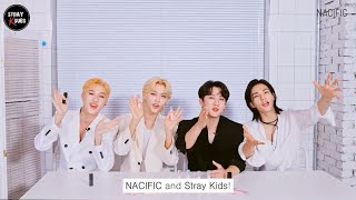 【ENG SUB】 NACIFIC Stray Review with Stray KidsGlossy Mood Lip Tint💄 [upl. by Avir660]