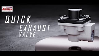 How Pneumatic Quick Exhaust Valve Works With Animation [upl. by Ixel874]