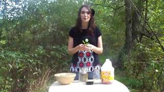 How To Make A Vinegar Tincture [upl. by Nongim]