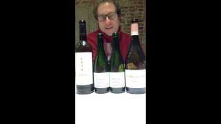 Bertrand Sourdais y sus proyectos en Ribera del Duero y Chinon [upl. by Nylirahs]