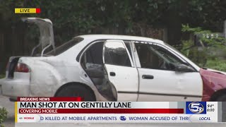 Shots fired at car driver crashes on Gentilly Lane [upl. by Levon]